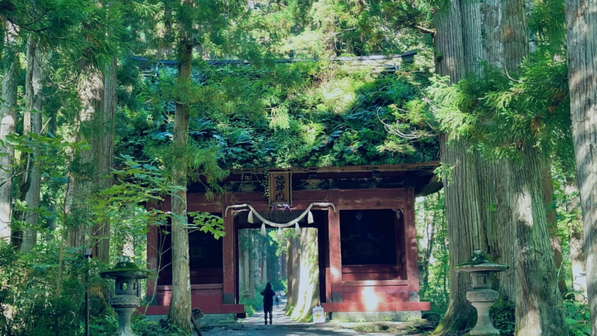 荘厳な杉並木と静寂に包まれた戸隠神社奥社。