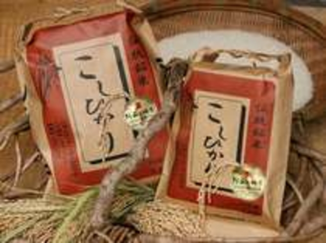 【販売中】阿蘇の四季農園産の新米コシヒカリ