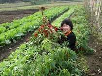 【農園】阿蘇の四季農園では沢山の野菜や米を収穫中