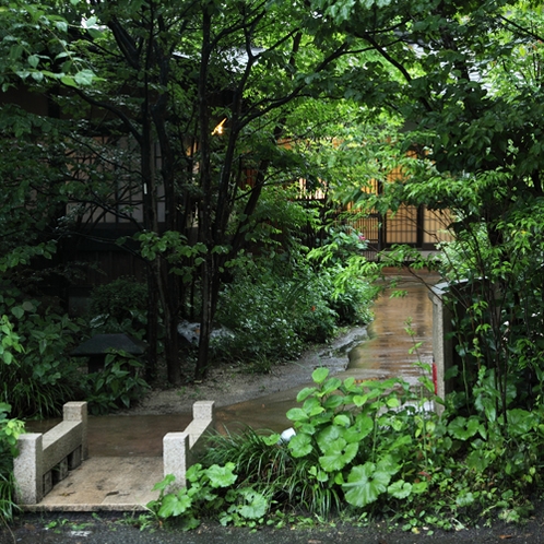 天気の良い日は中庭をお散歩が気持ち良いです。