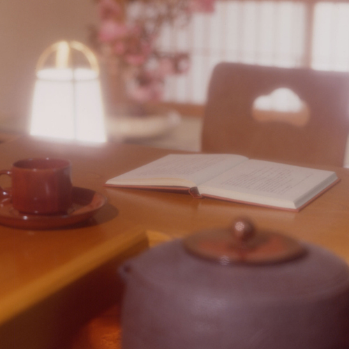 【お料理軽めでお値打ち♪】/☆現地では現金のみ☆/  ほどよい量で愉しむ一泊二食プラン♪連泊にも☆