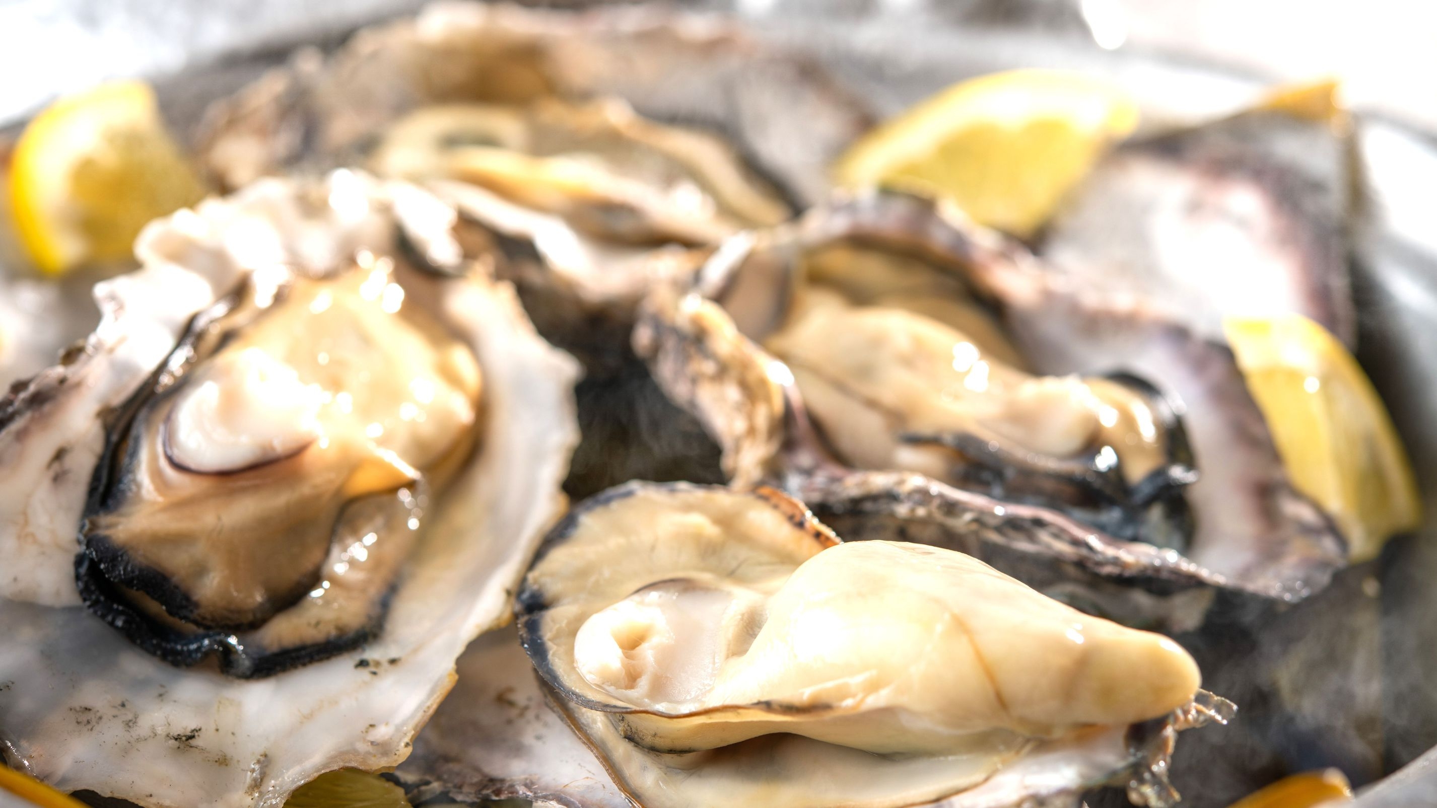 2025年7月リニューアル！【土地の恵み会席】赤穂の味覚・牡蠣づくしを堪能×11個の無料おもてなし