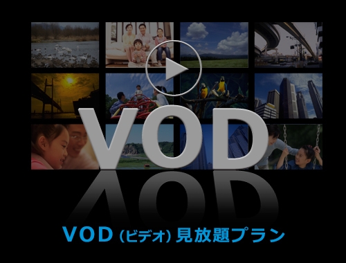 VOD見放題プラン（食事なし）