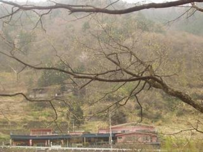 山荘おまつり全景