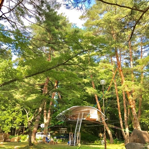 *話題のツリードーム「Dom'Up」が沼沢湖キャンプ場に設置！詳細は当館までお問い合わせください！