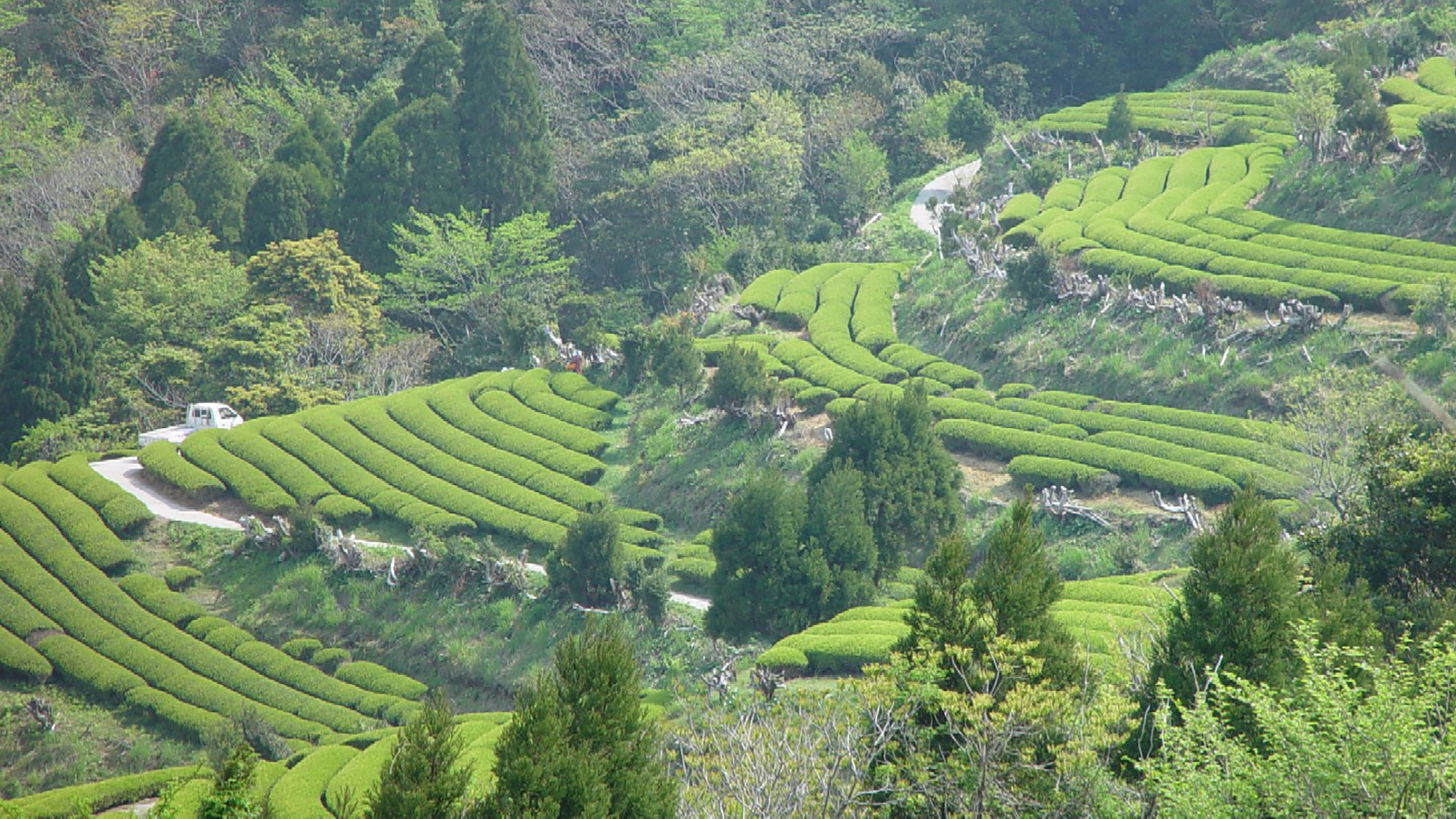 *周辺観光：地下の茶山 