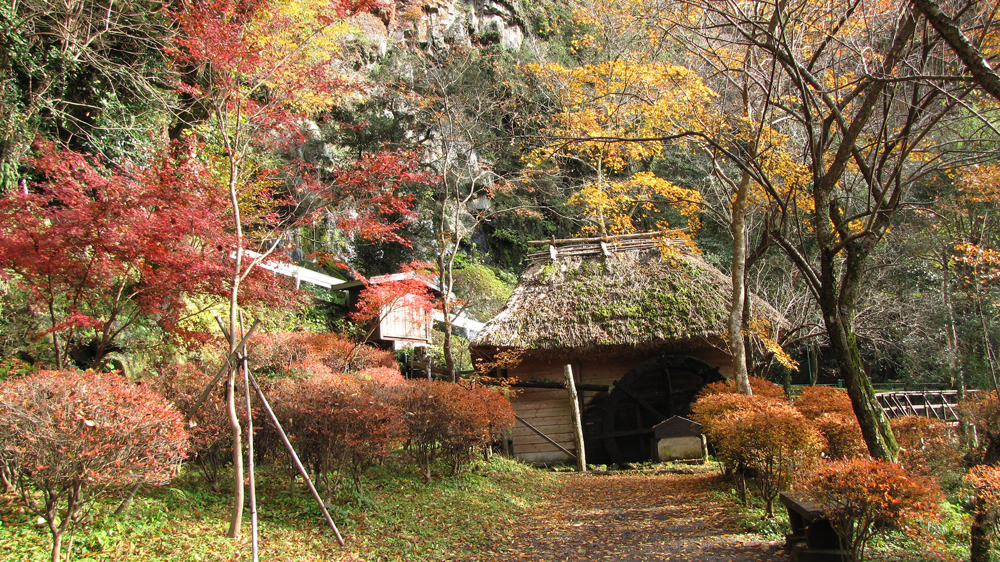 *周辺観光：高千穂峡＿紅葉