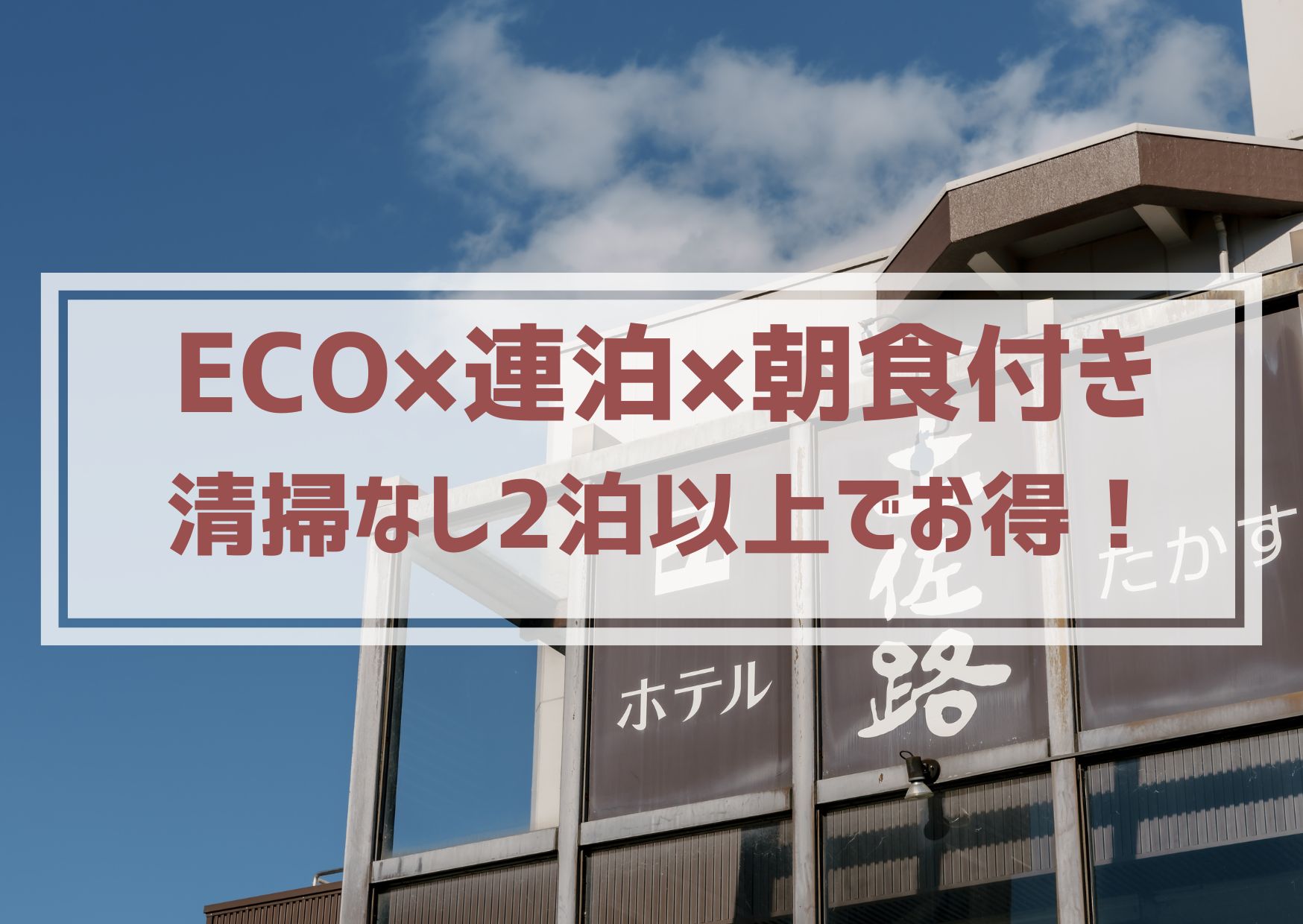 eco×朝