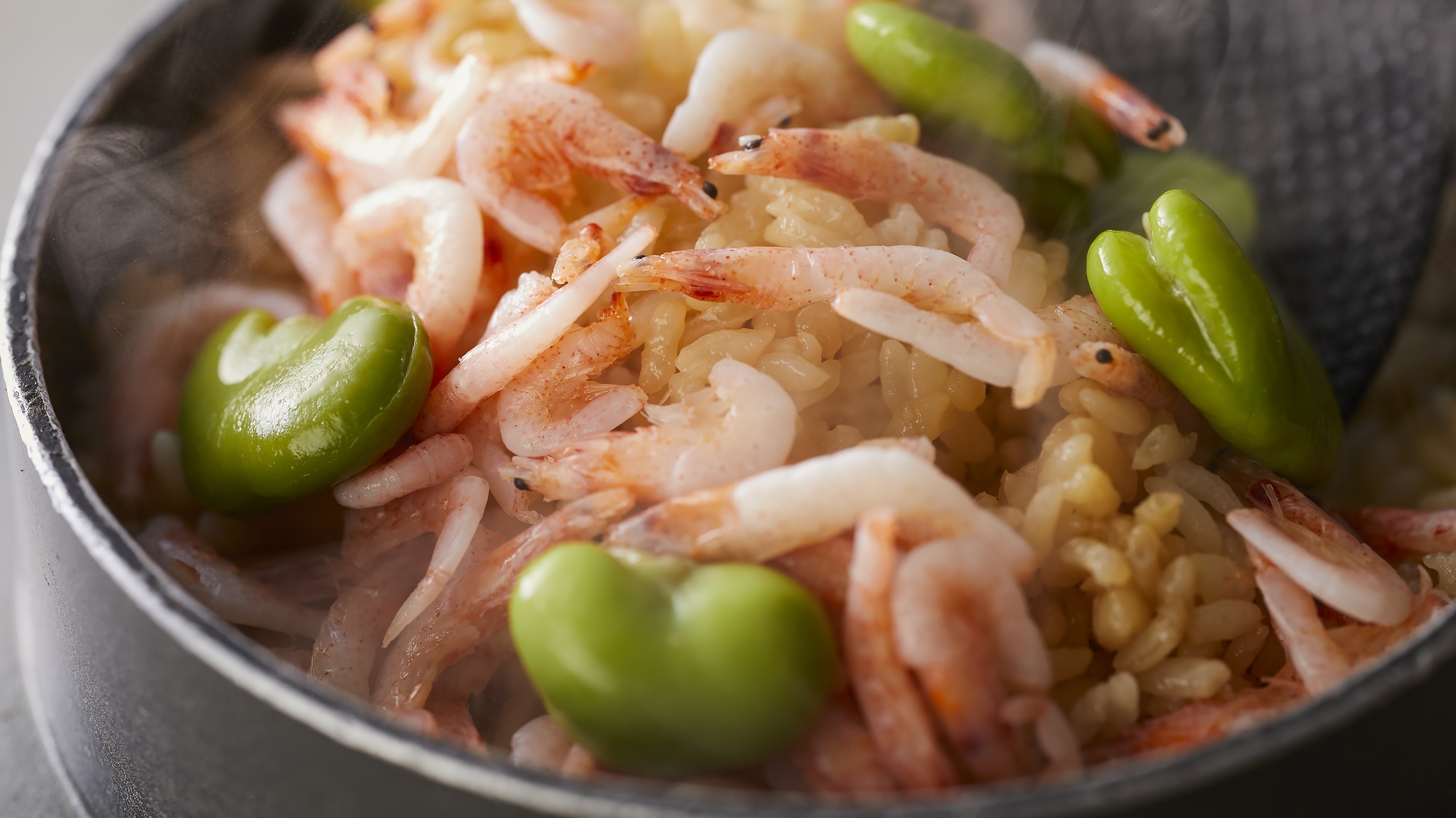 【特別会席】春（2026年5月）