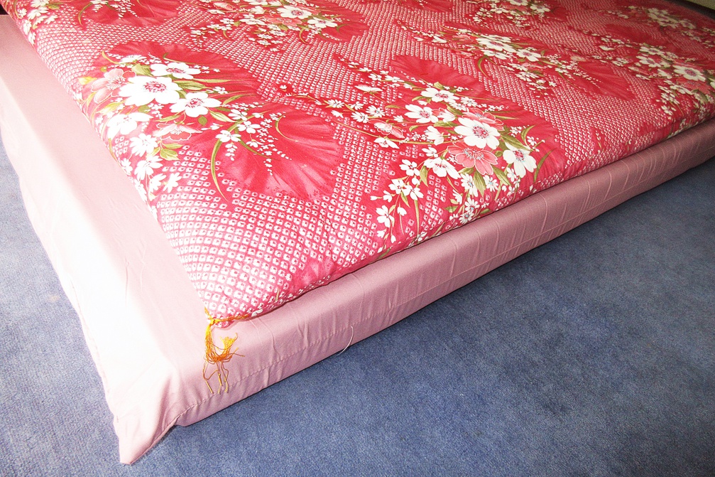 素泊まり￥５，８００＋日帰り温泉（￥６００）