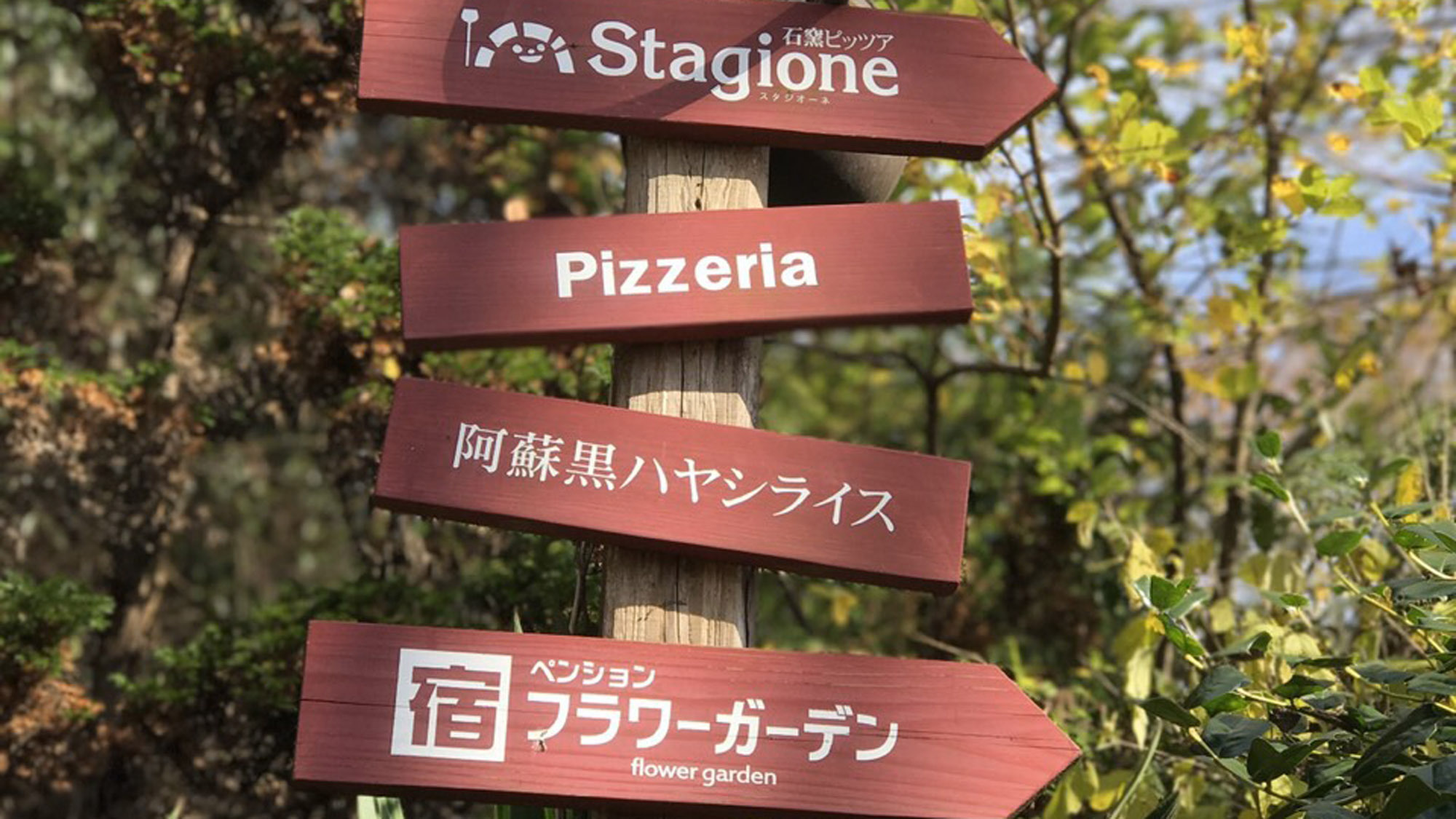 【素泊り】当日１８時までご予約可能★のんびり素泊まりプラン