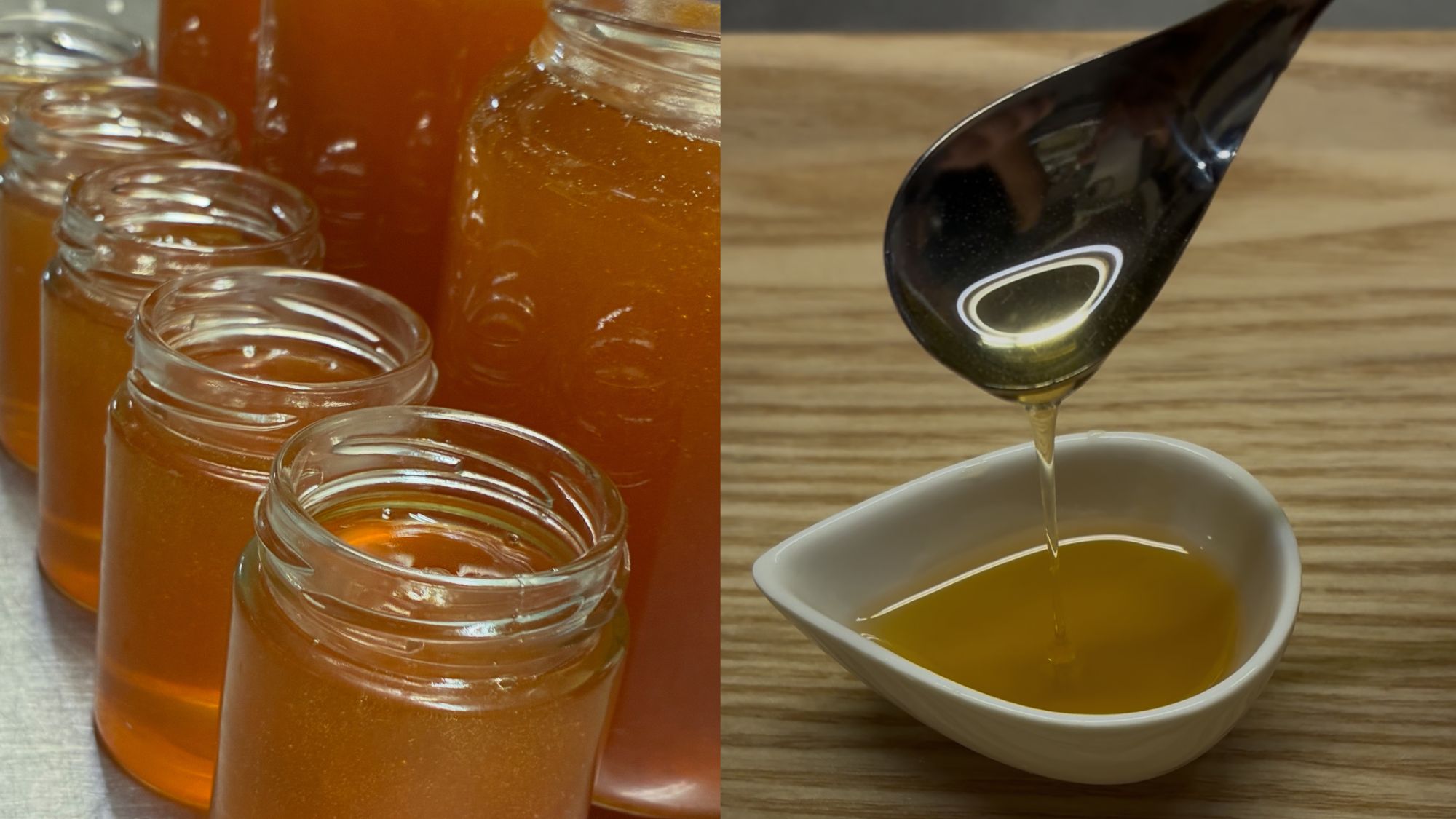 養蜂二ホンミツバチ