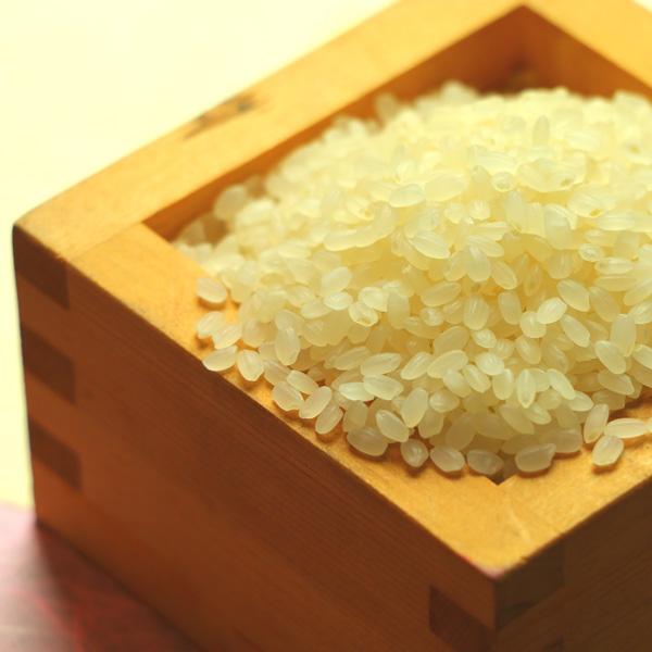 【朝食】朝からパワーをくれる美味しい白米を存分に味わってください。