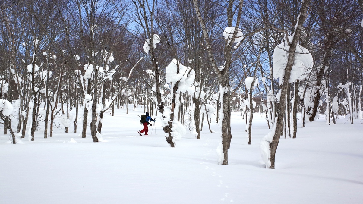 ＼「月山」積雪量日本一／　“雪のふるさと”へ〜豪雪地帯から冬のお便り〜