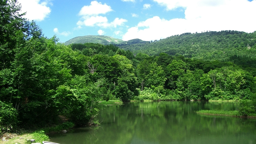 *五色沼【春・夏】