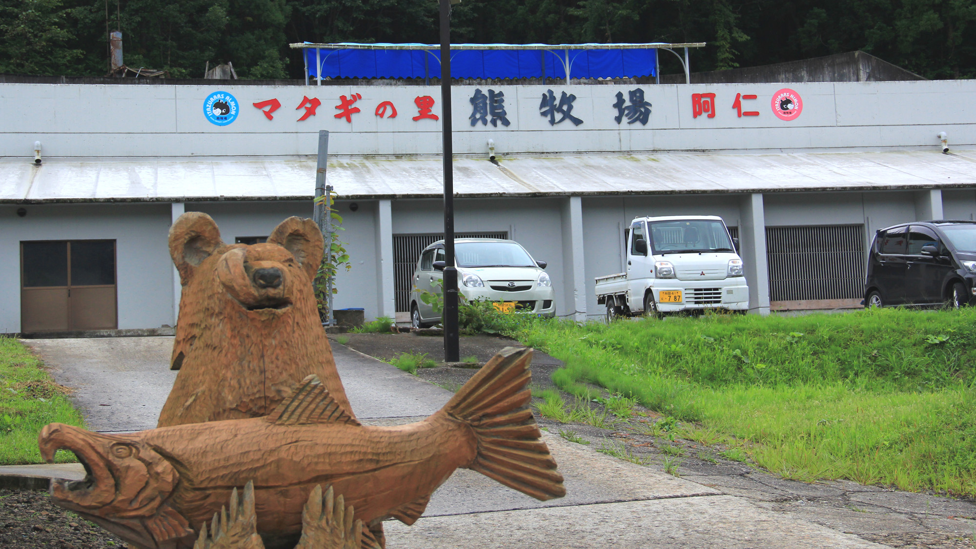 #くまくま園　園内にはクマさんだけ！マタギの里ならではのくまくま園へ行こう！