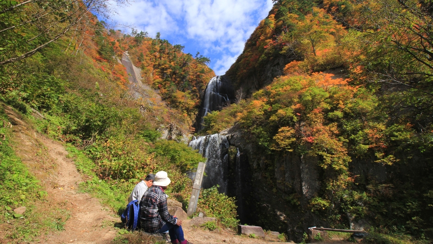 #安の滝　白いすだれ状の滝の流れが新緑や紅葉に映え、訪れる人に感動を与えます。　