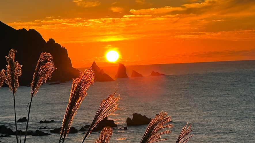 日本海に沈む夕陽を見送るすすき