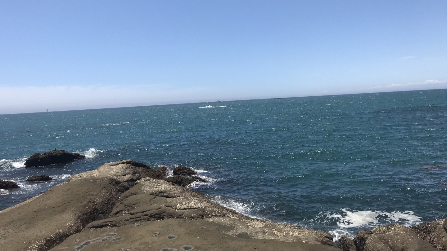 海釣りを楽しみ温泉を楽しむ！釣った魚を味わえる！【（季節の会席）フィッシング応援プラン】