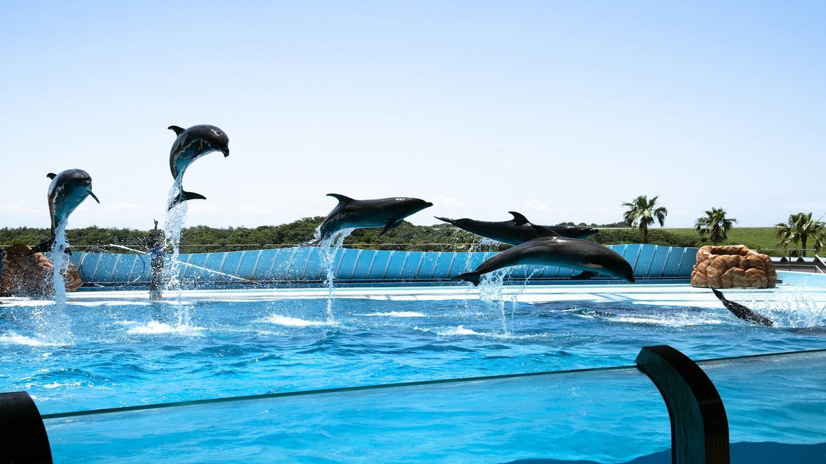 【アドベンチャーワールド1日入園券付】季節の会席