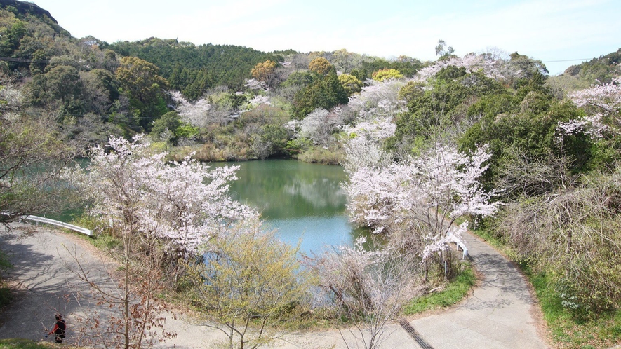 当宿から車で約20分。春には水面に映る桜が美しい【動鳴気峡（どうめききょう】