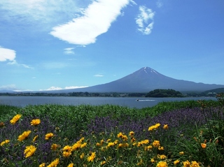 夏の富士山