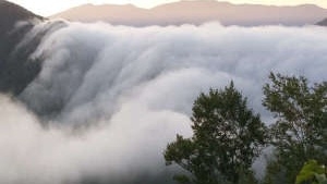 「佐渡島の金山」世界遺産登録１周年記念【美食旅】越後もち豚鍋と楽しむ山と海の幸（2食付）