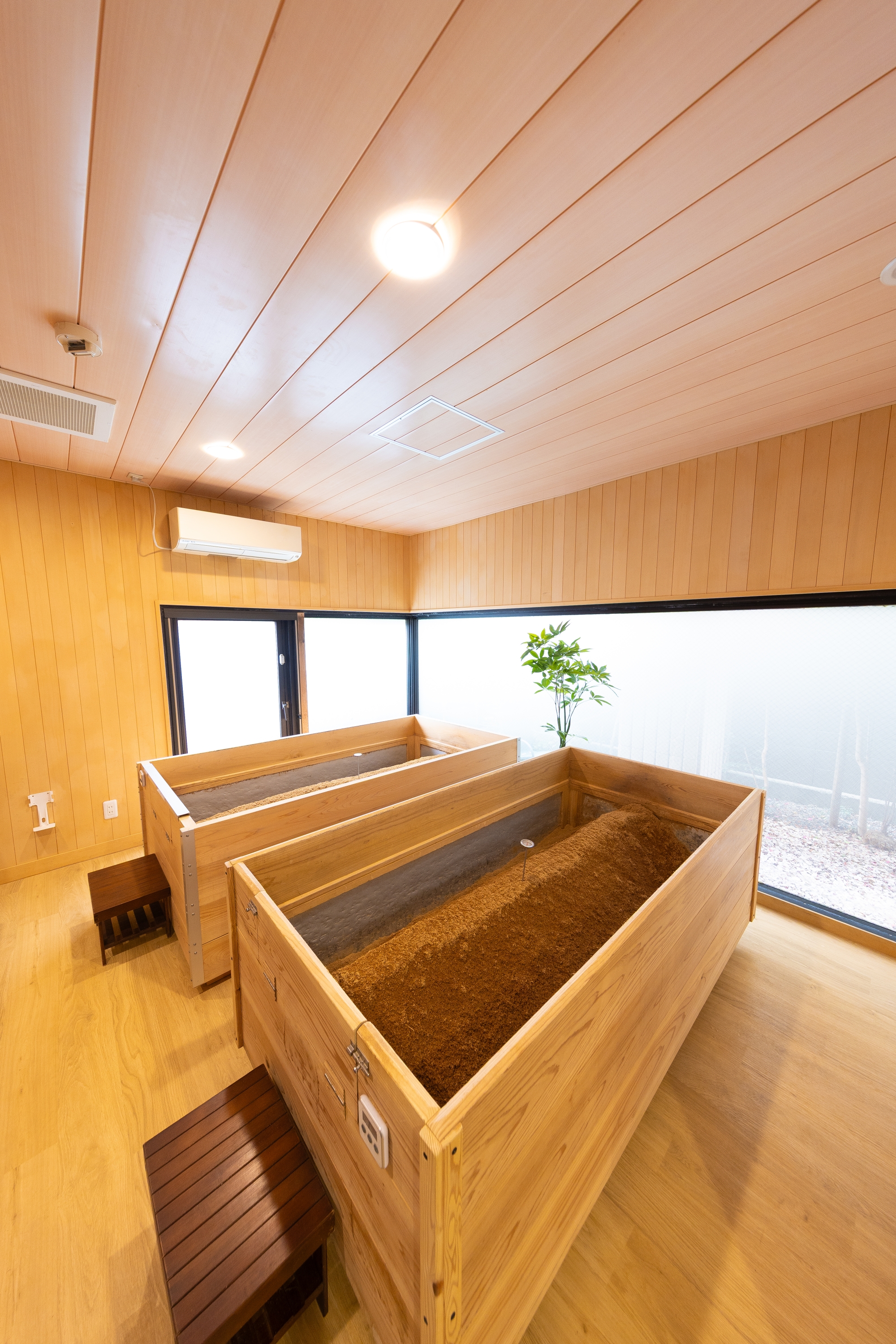 発酵美人まいづる①