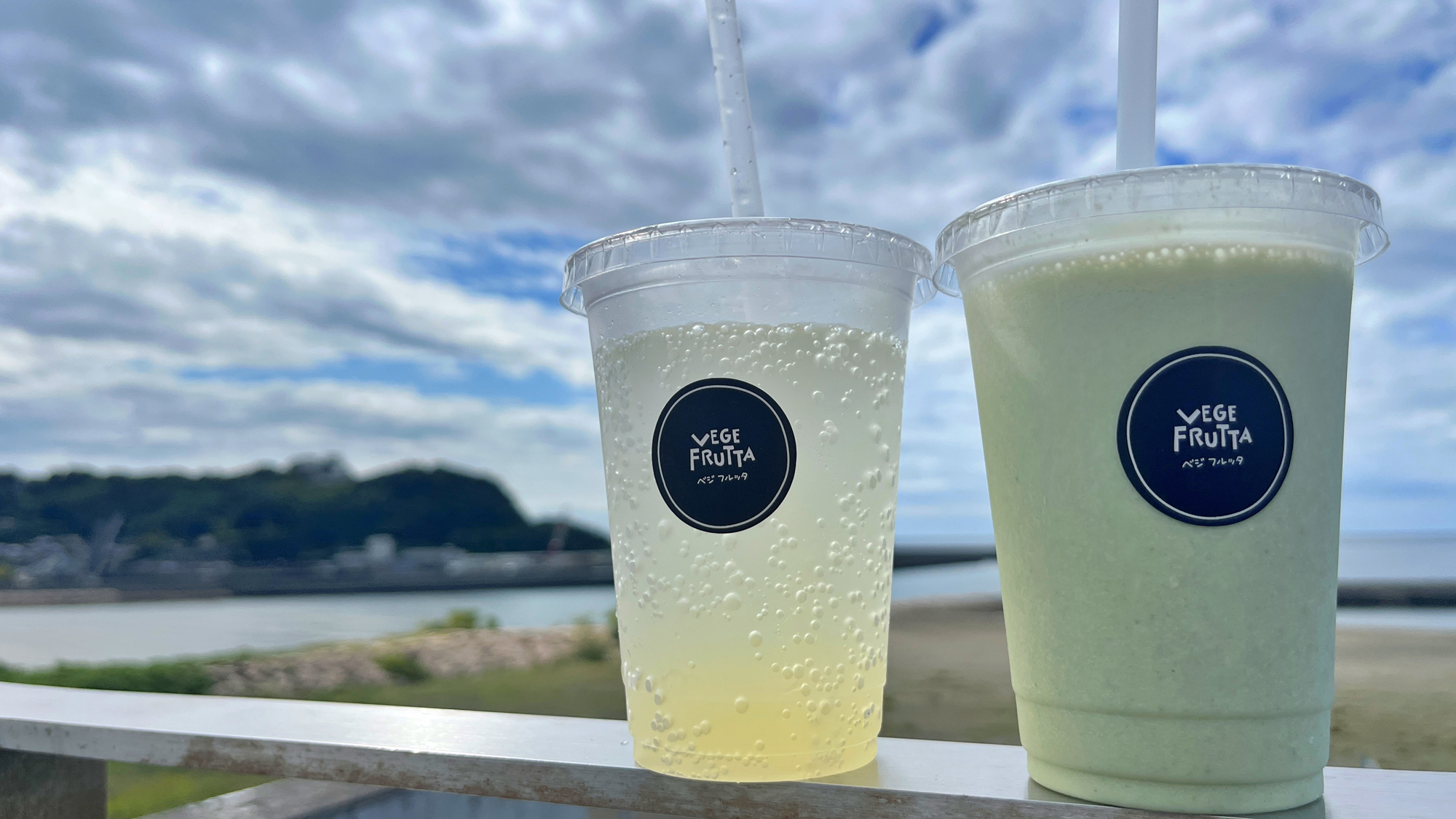 【周辺観光】道の駅やす 