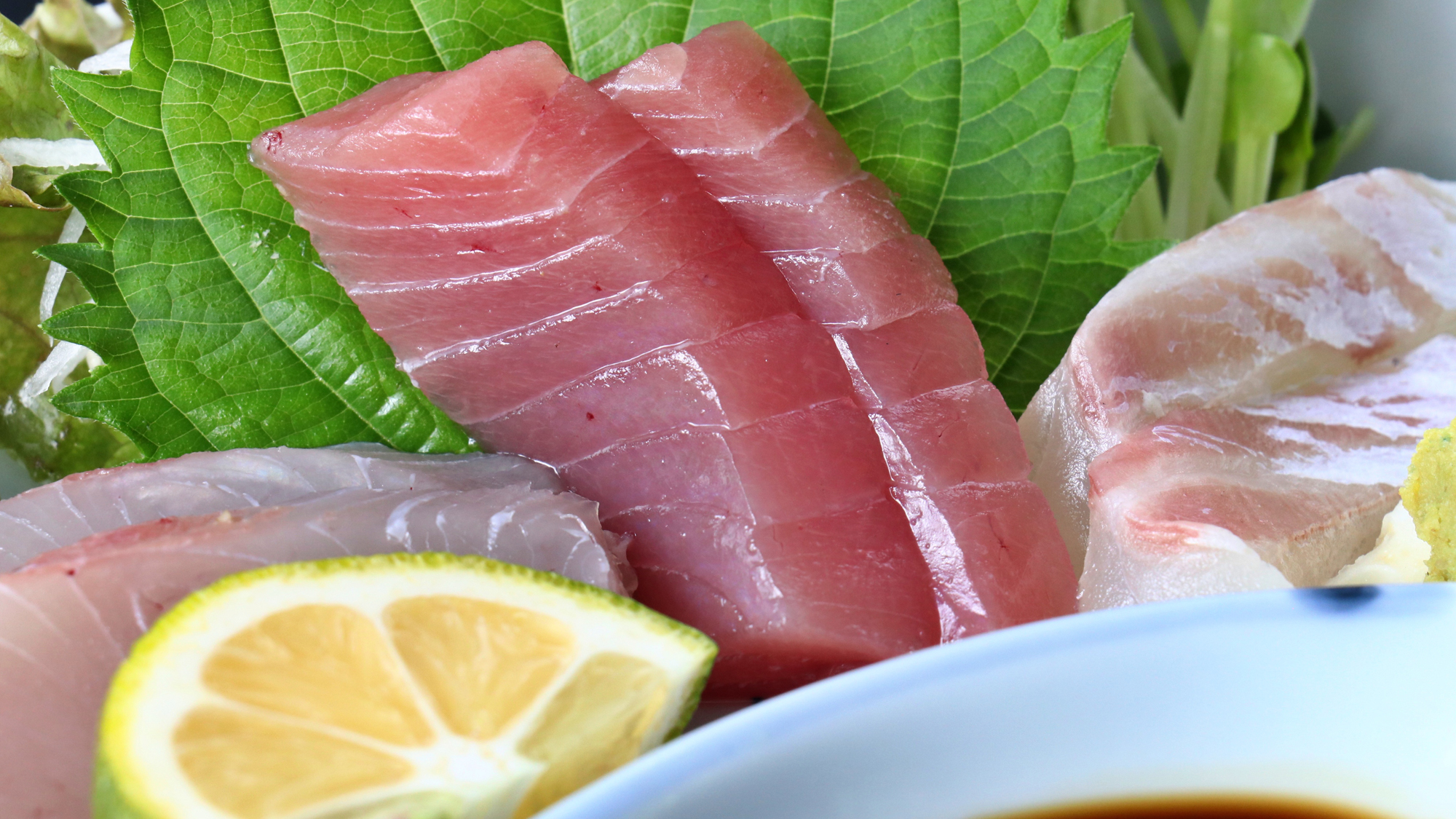 【夕食】スタンダード（単品）