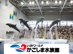 【源泉貸切風呂５湯無料！】かごしま水族館と豪華グルメ満喫プラン