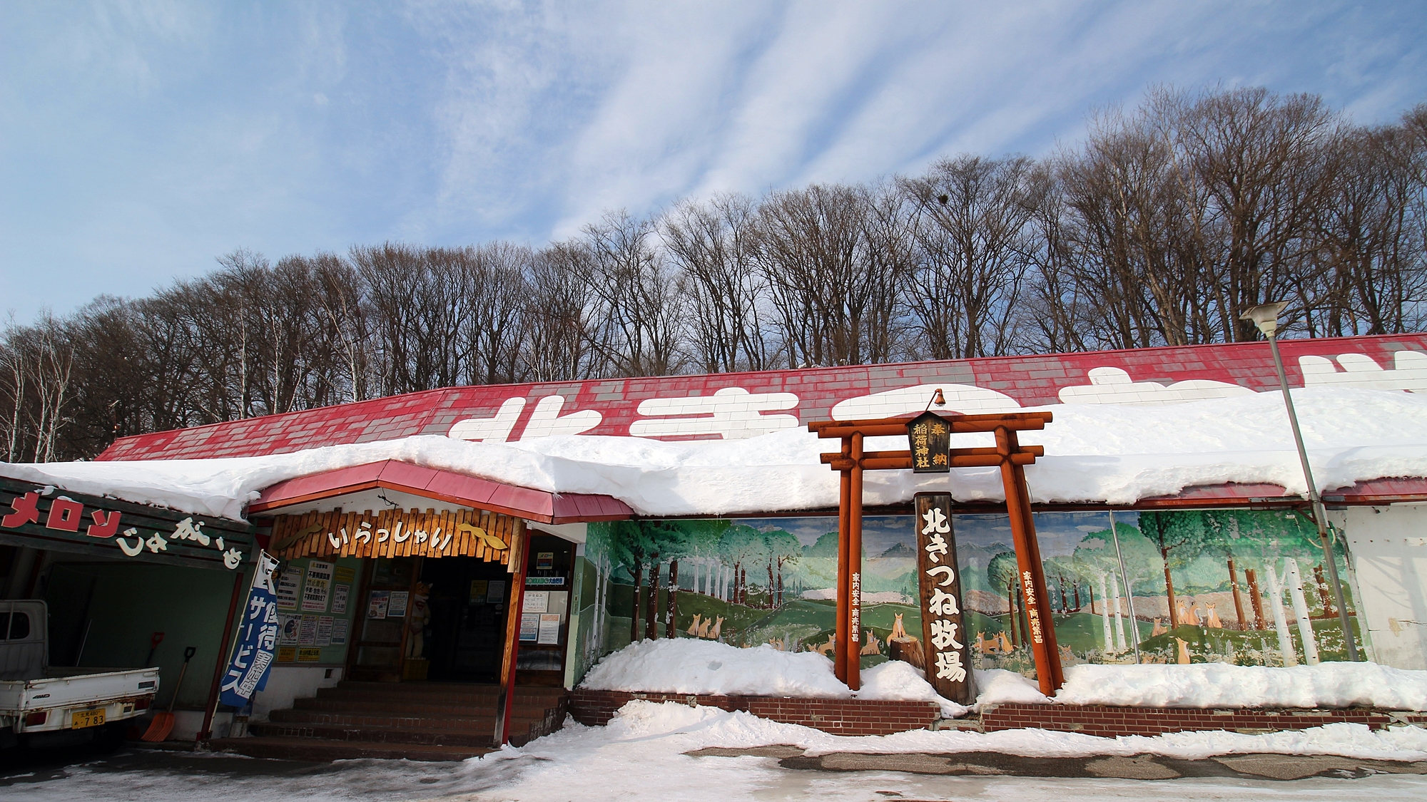 *【周辺】北きつね牧場：日本で唯一「キタキツネ」「エゾタヌキ」一緒に生活しているの動物園です
