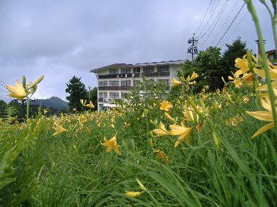 【素泊り】最終チェックイン 22：00まで対応♪志賀高原観光の拠点やお仕事などに！