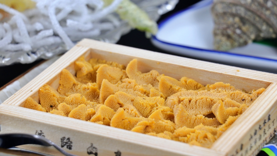 【特選黒ウニ×アワビ】豪華2大味覚を贅沢海鮮会席で至福のひとときを♪1泊2食付