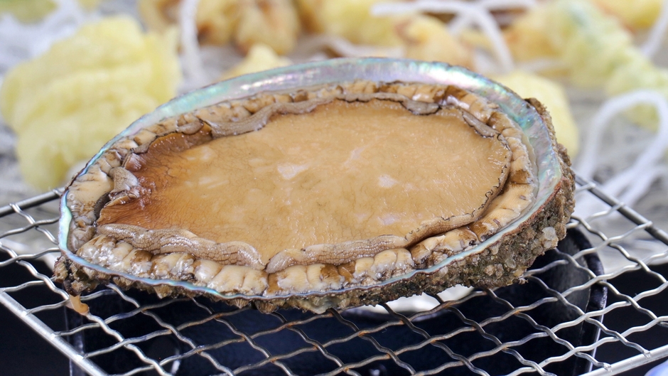 【この価格で！？】アワビ＆伊勢海老！海の２大味覚付海鮮会席プラン★ 1泊2食