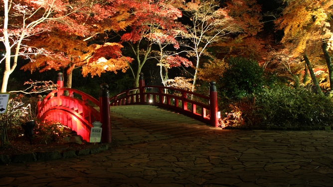【シニアにおすすめ】熱海梅園のもみじまつりで紅葉を楽しもう！1泊2食付創作洋食膳＋ハーフバイキング