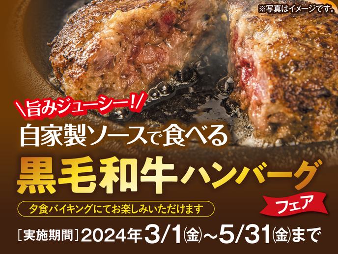 【2024年3月〜2024年5月限定】旨味ジューシー　自家製ソースで食べる　黒毛和牛ハンバーグフェア