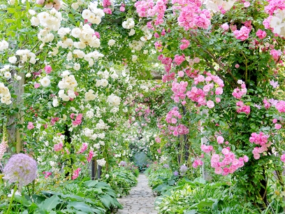 【600種のバラを堪能】ACAO FOREST チケット付きプラン【創作洋食膳ハーフバイキング】