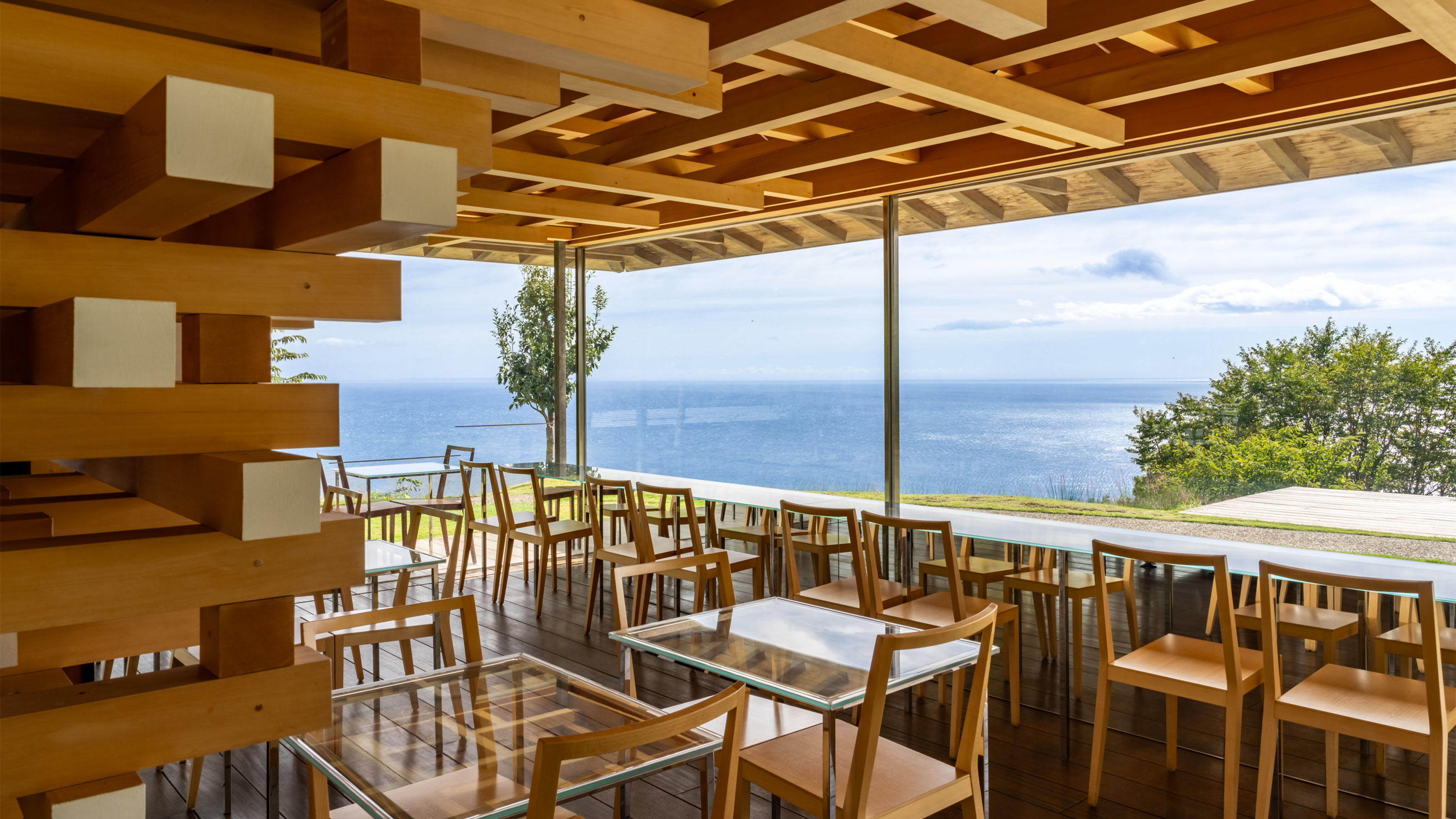 アカオフォレスト