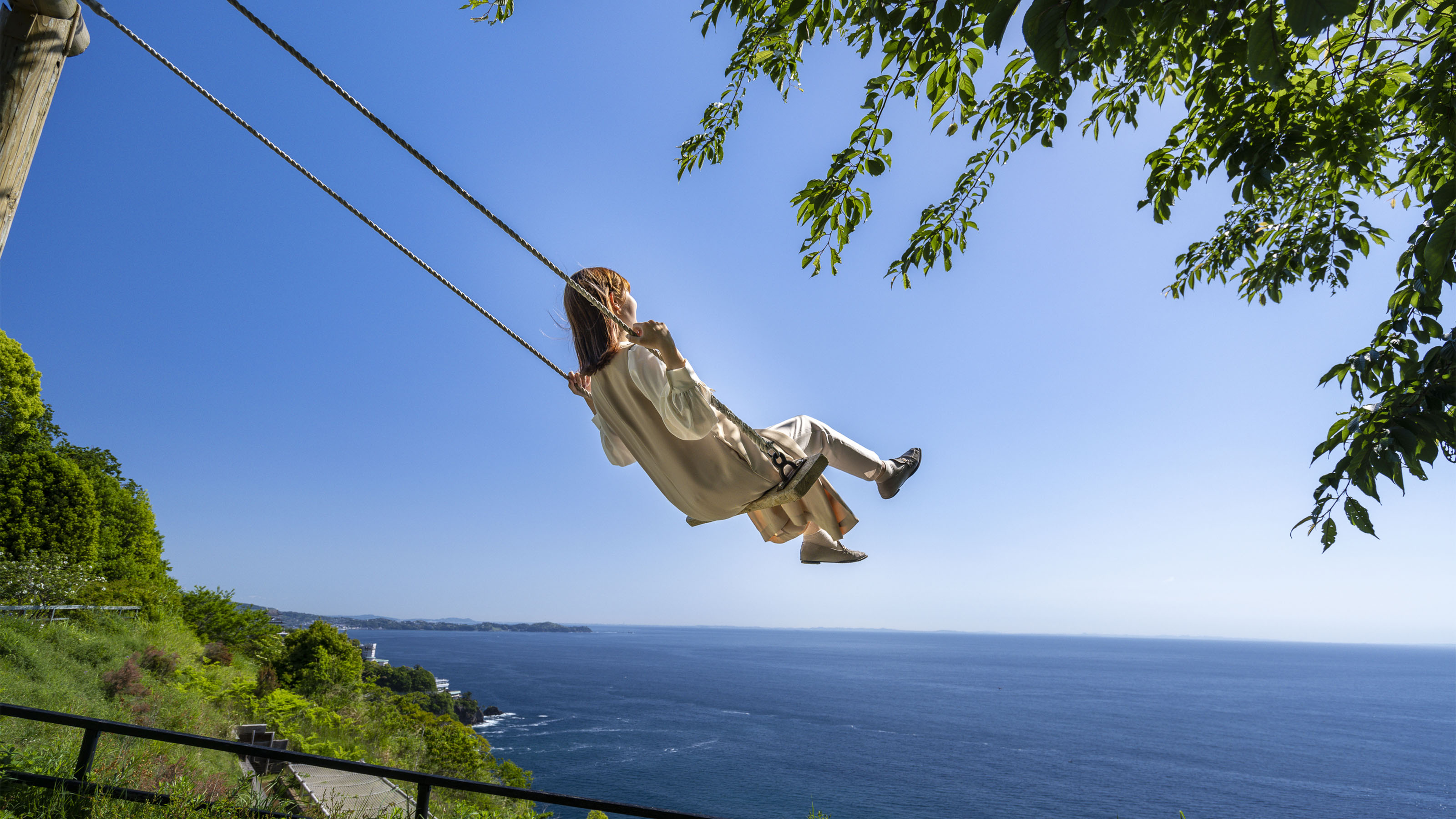 アカオフォレスト(ブランコ)