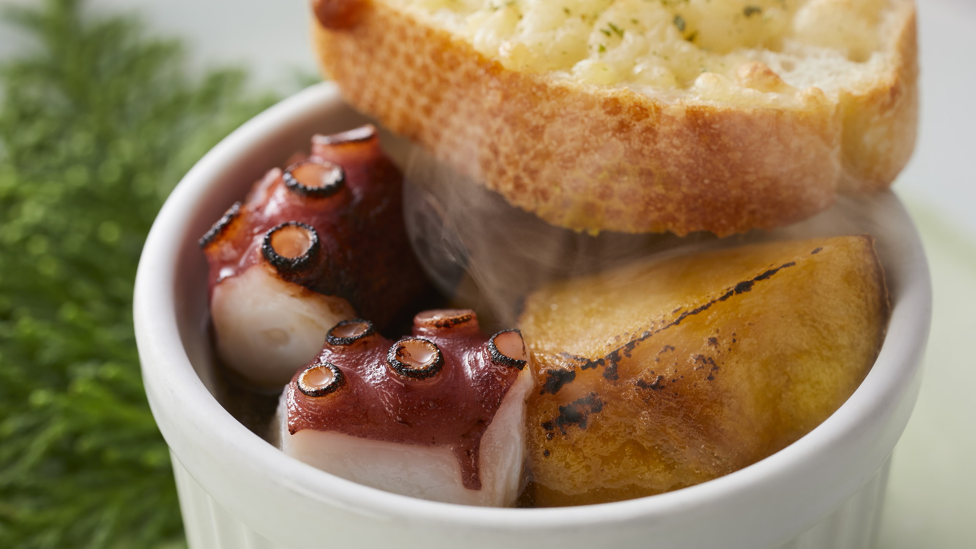 【季節の会席】旬魚をどうぞ！料理長こだわりの会席です