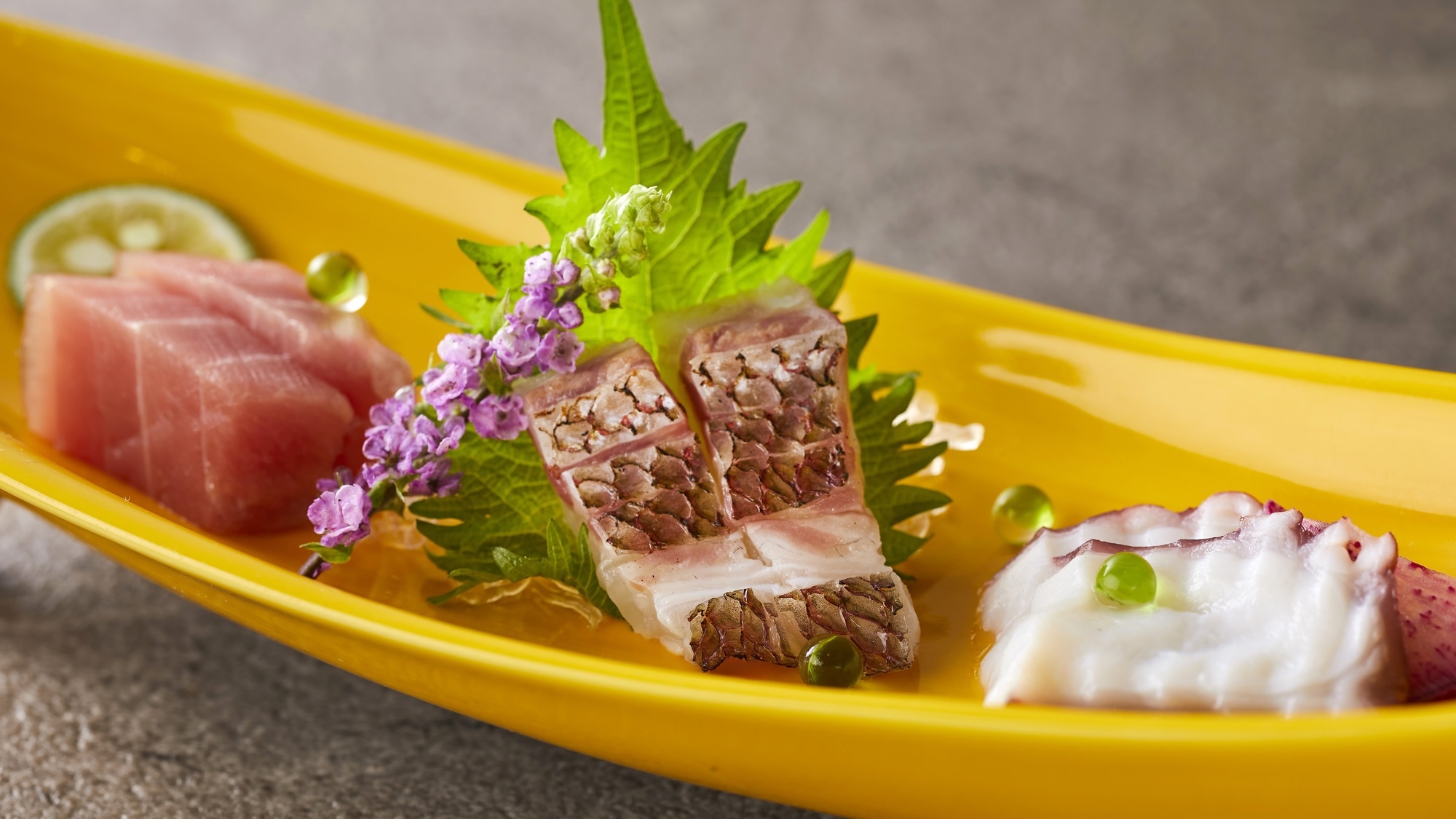 【2025年8月リニューアル／季節の会席】旬魚をどうぞ！料理長こだわりの会席