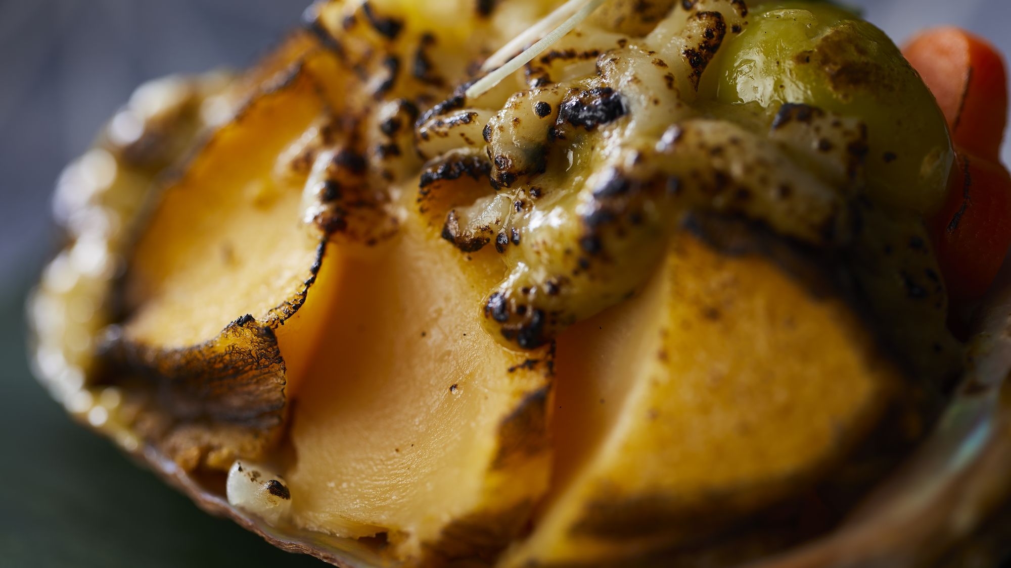 【特別会席】冬(2025年12月～2026年2月)焼き物 鮑肝味噌グラタン