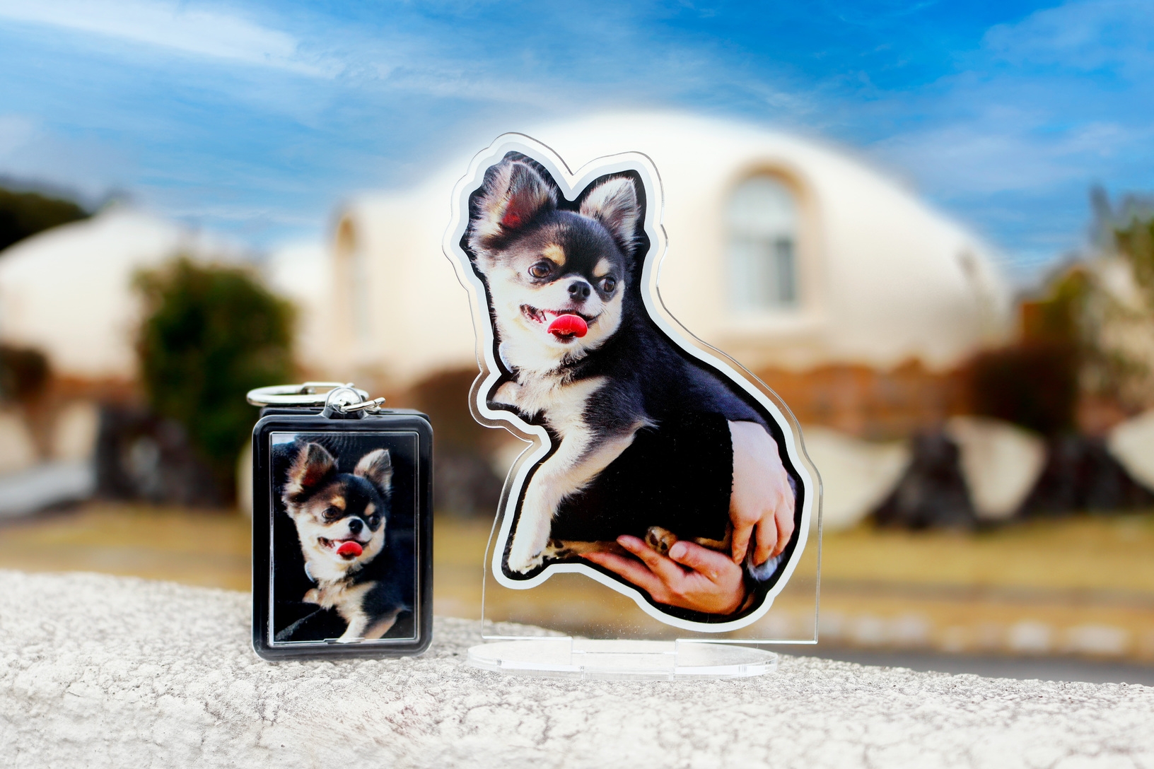 【愛犬とご旅行の思い出をかたちに♪オリジナルグッズ付き☆】1泊2食付きプラン