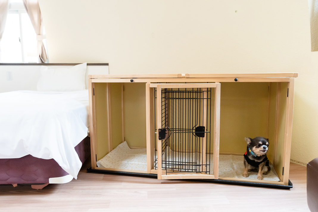 ★夏休み期間★愛犬と一緒に泊まろう♪わくわく素泊まりプラン