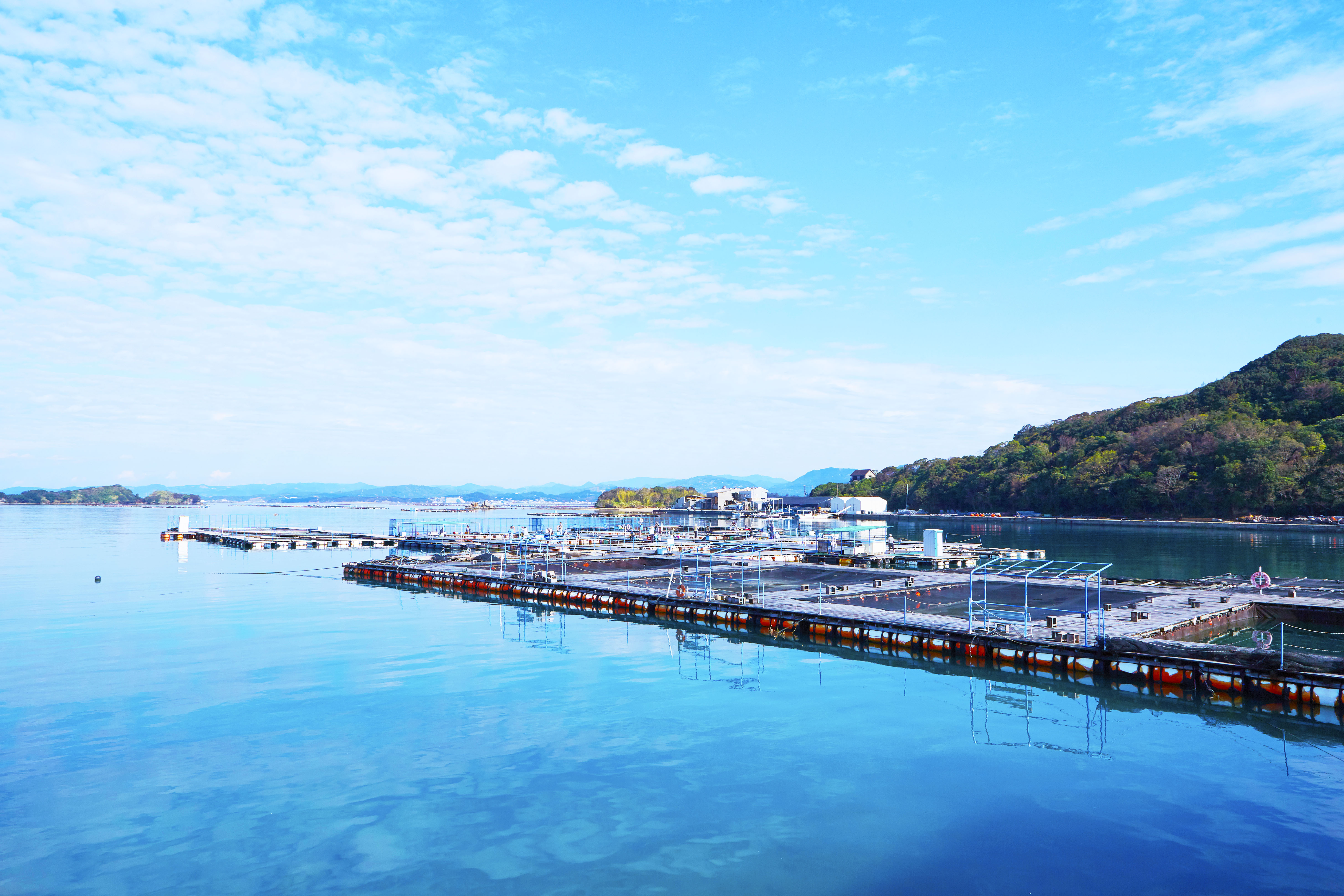 【カタタの釣り堀】