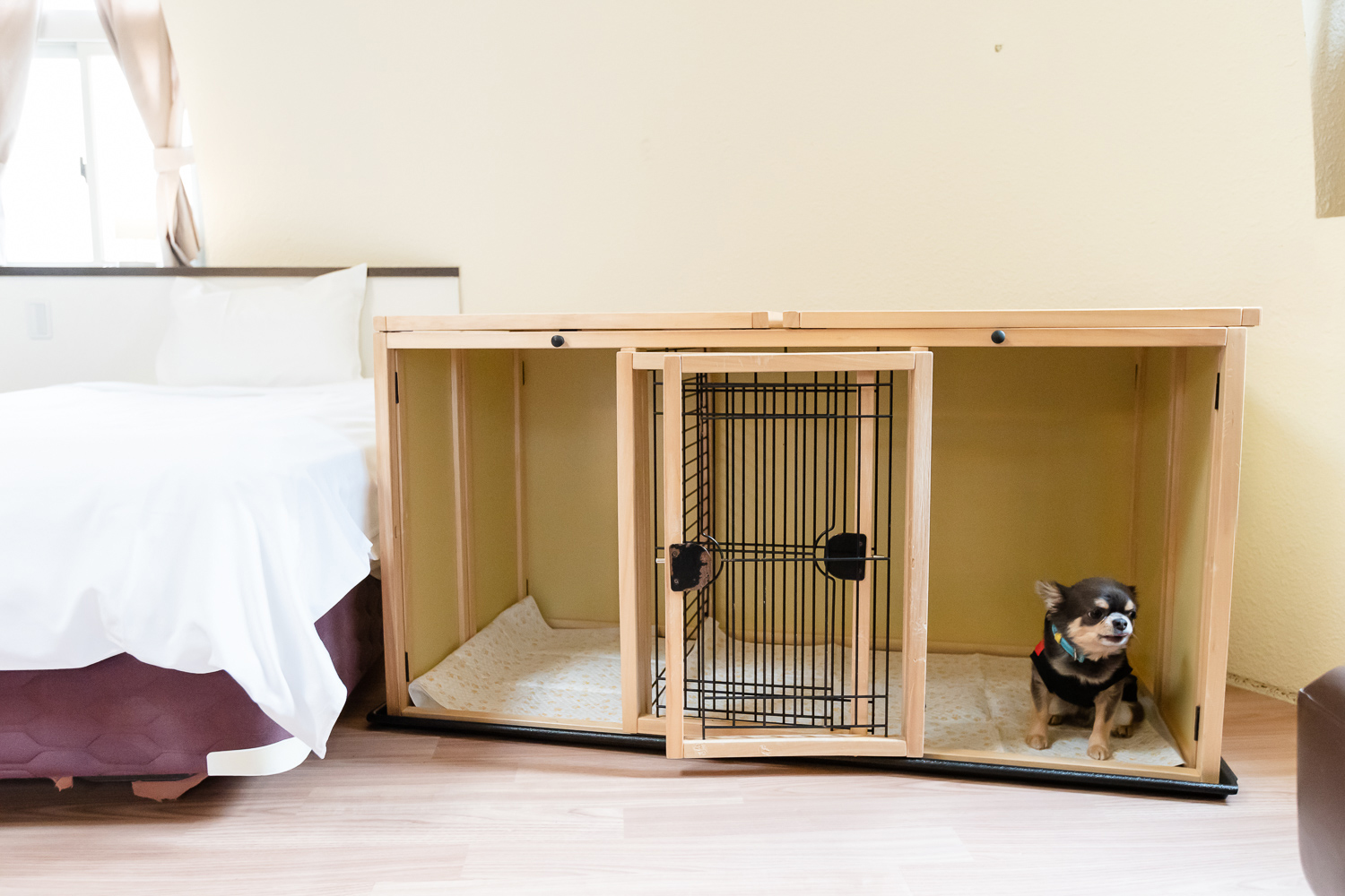 【ペット棟】ゲージは、小型犬2匹は入れる大きさです。