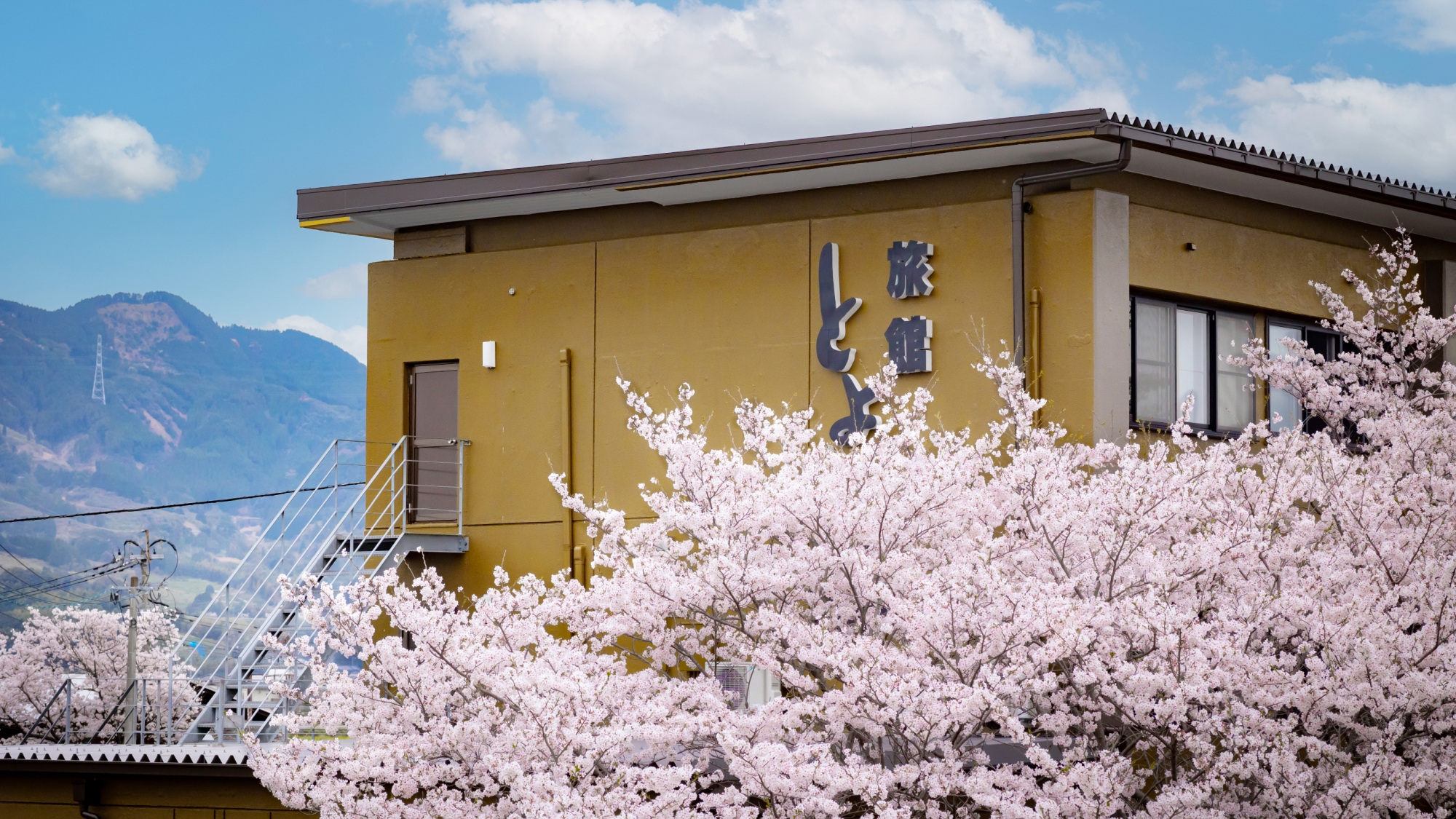 【春の季節】外観