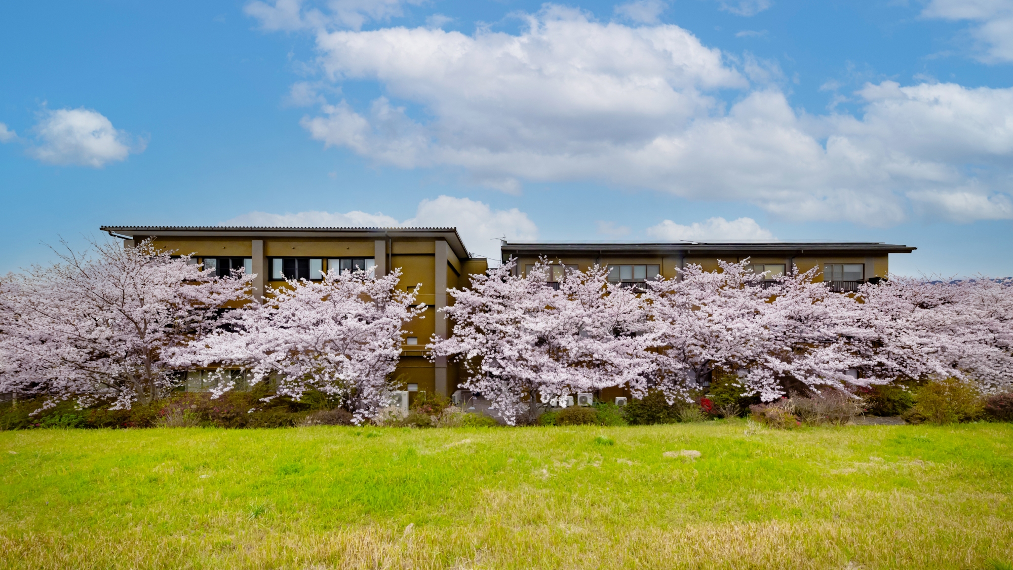 【春の季節】外観