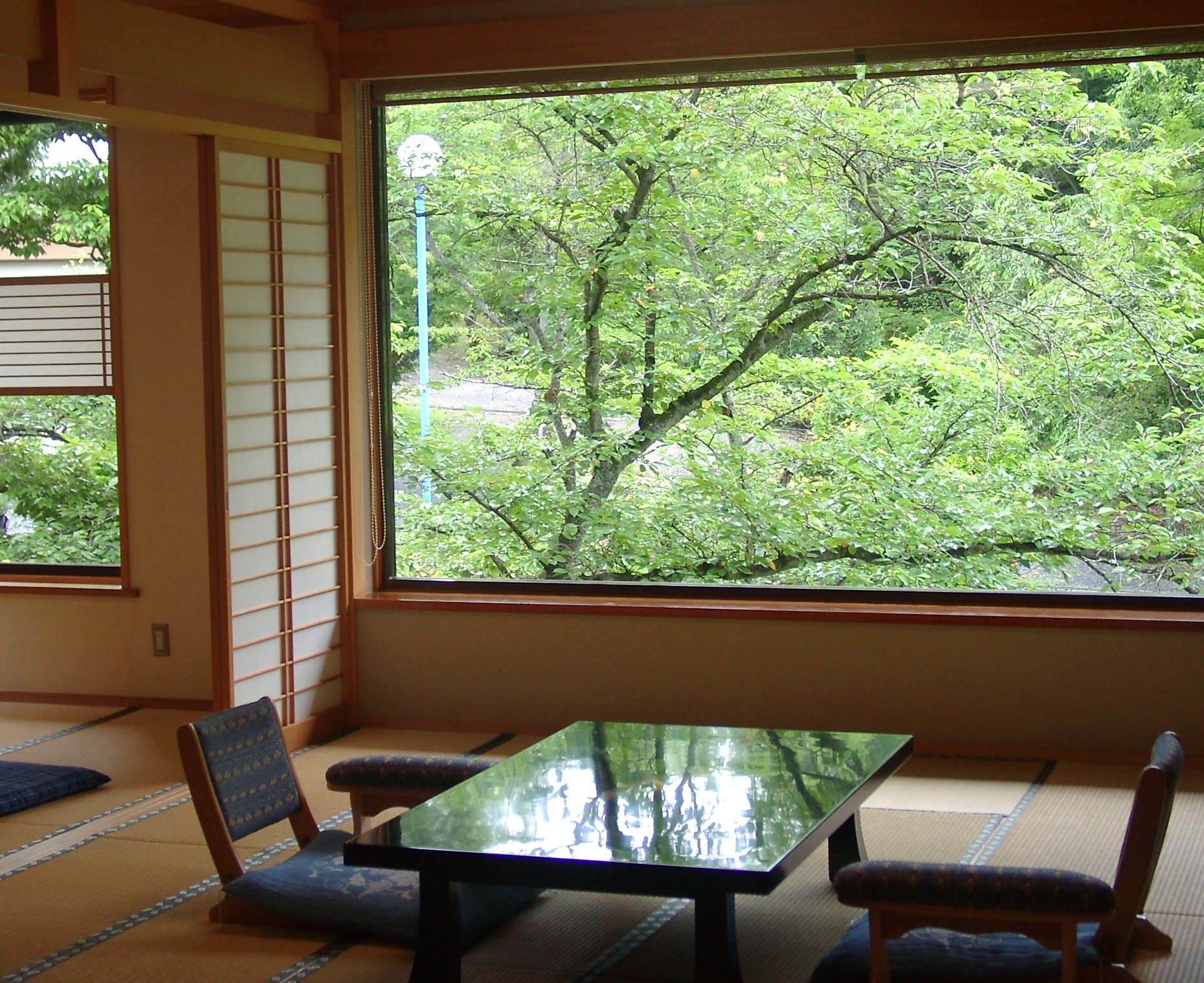 離れ 四季山水 新緑の風景